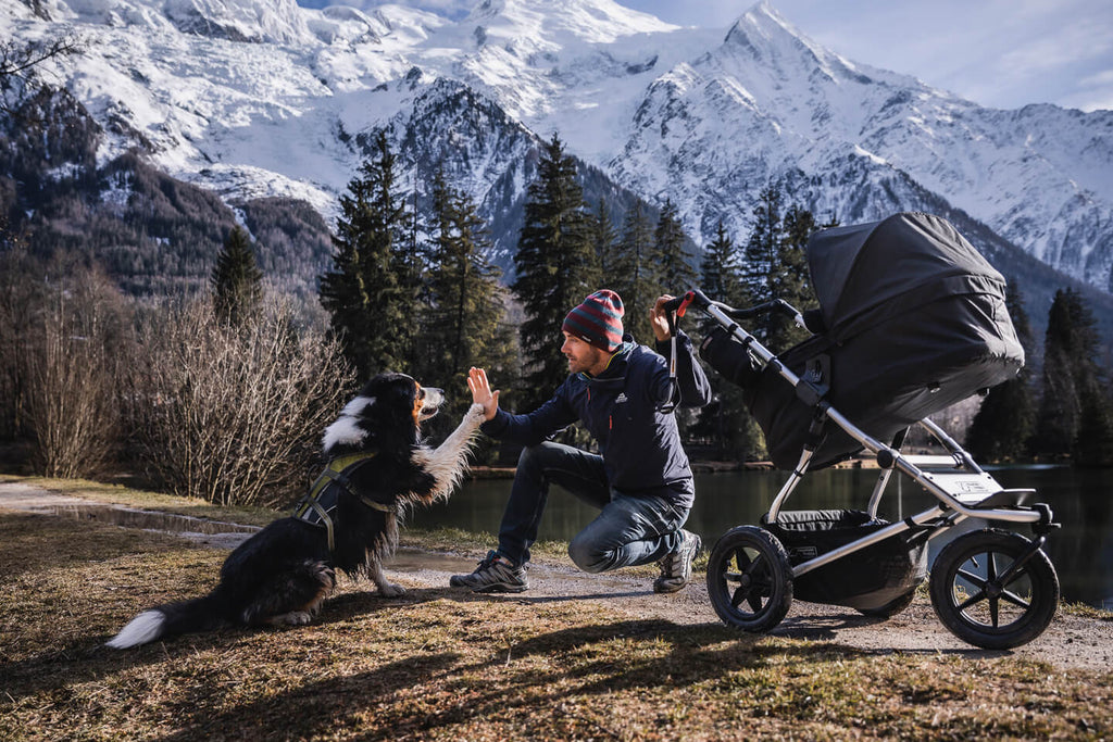 Mountain buggy sale tyre pressure