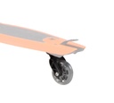 freerider (2017+) replacement rear wheel & swivel assembly