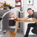 lobster™ portable highchair